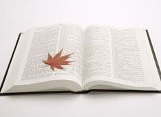 曼城淘汰尤文图斯，占领16强积分榜