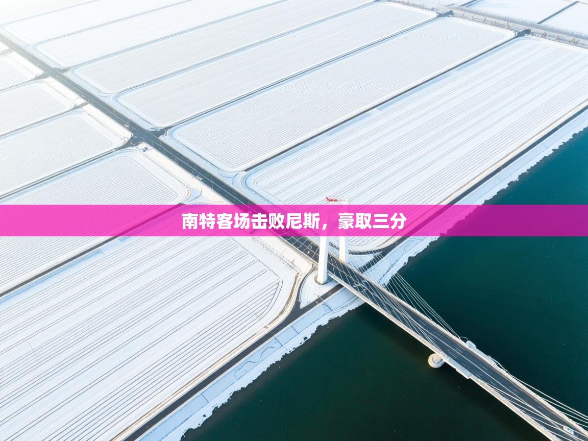 南特客场击败尼斯，豪取三分  第1张