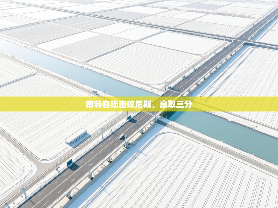 南特客场击败尼斯，豪取三分  第2张