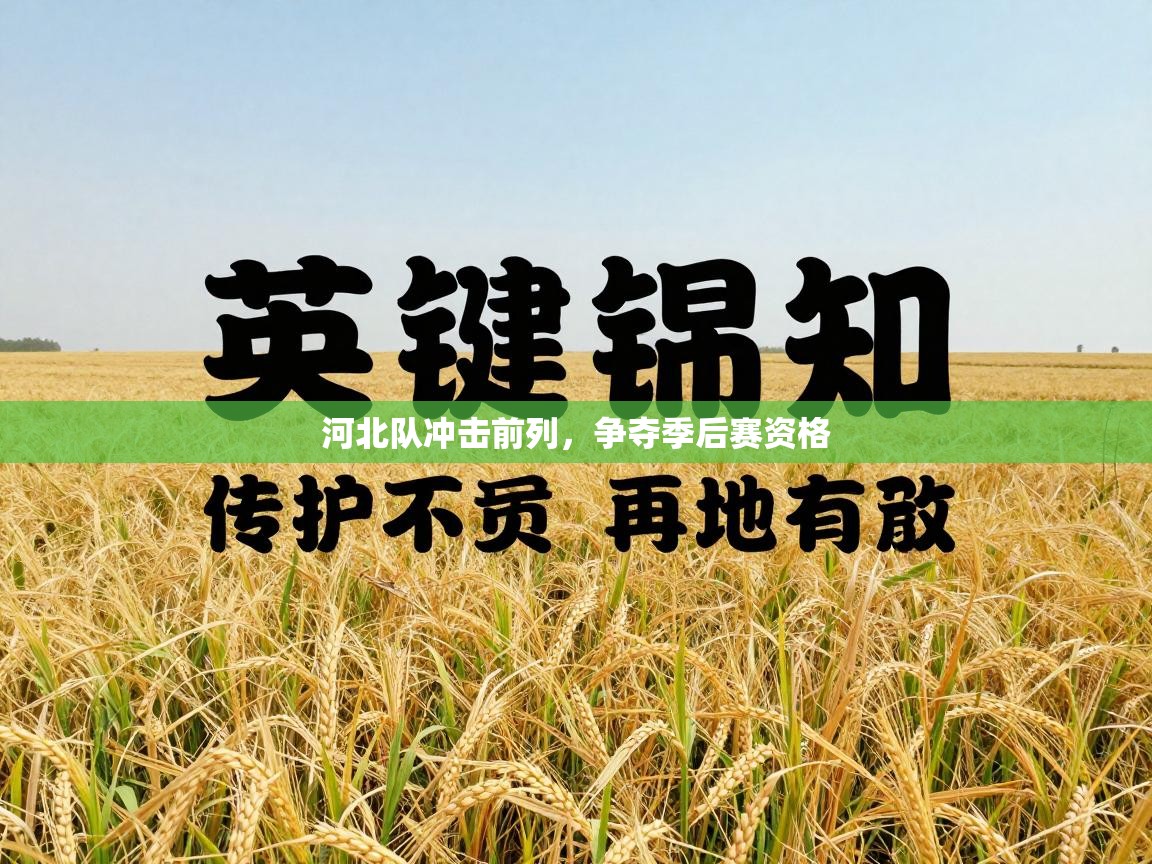 河北队冲击前列,争夺季后赛资格 第2张