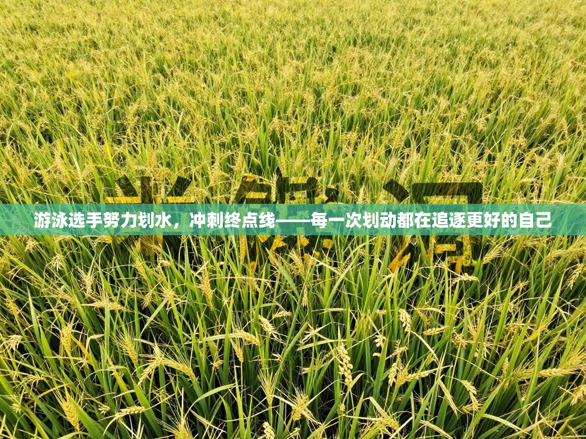 游泳选手努力划水,冲刺终点线——每一次划动都在追逐更好的自己 第1张