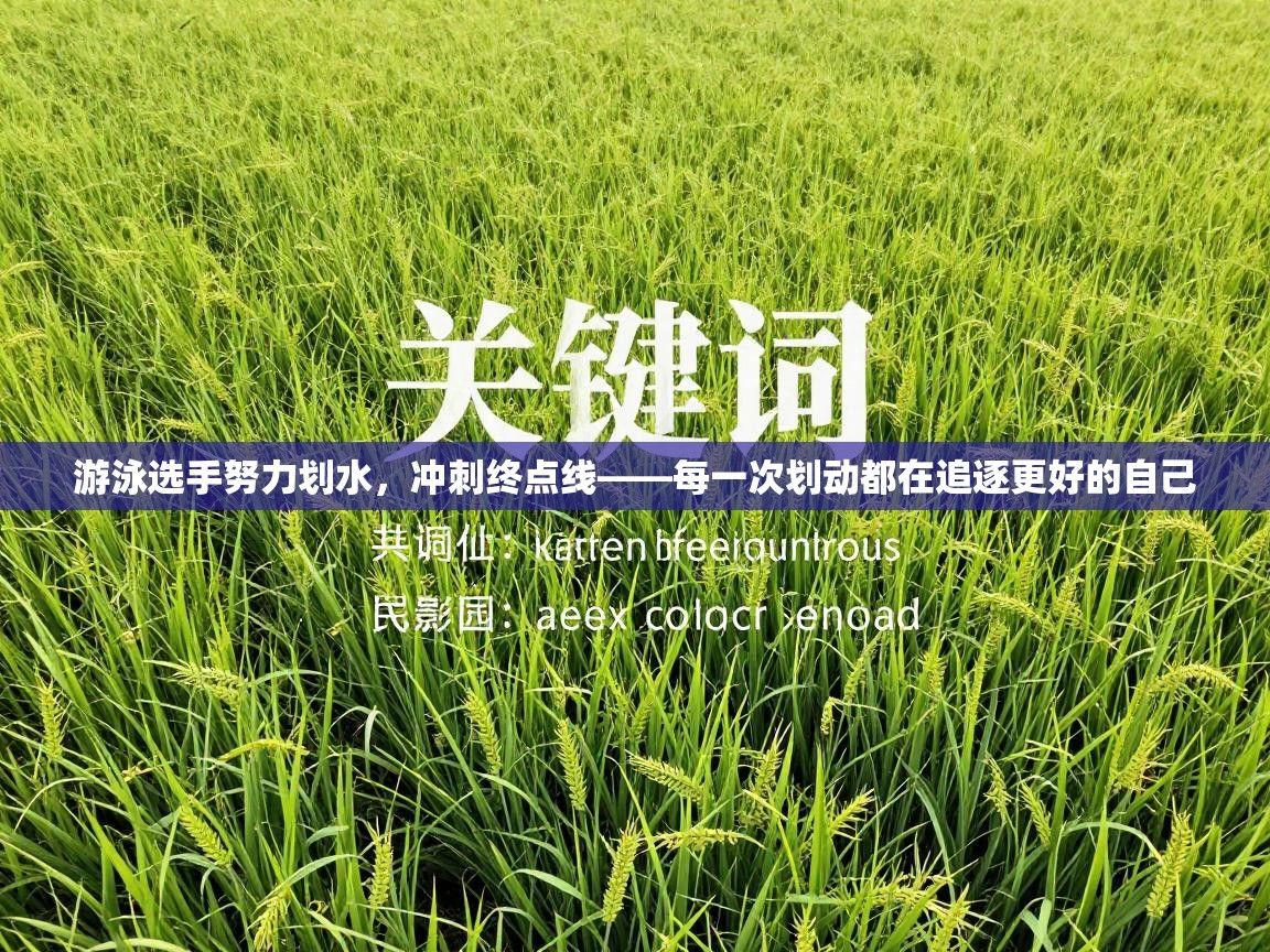 游泳选手努力划水,冲刺终点线——每一次划动都在追逐更好的自己 第2张